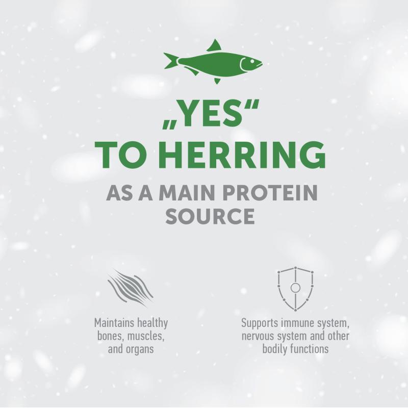 Weight Control Herring Dog Treats for Adult Dogs - Healthy Low-Calorie Snacks for Training & Rewards