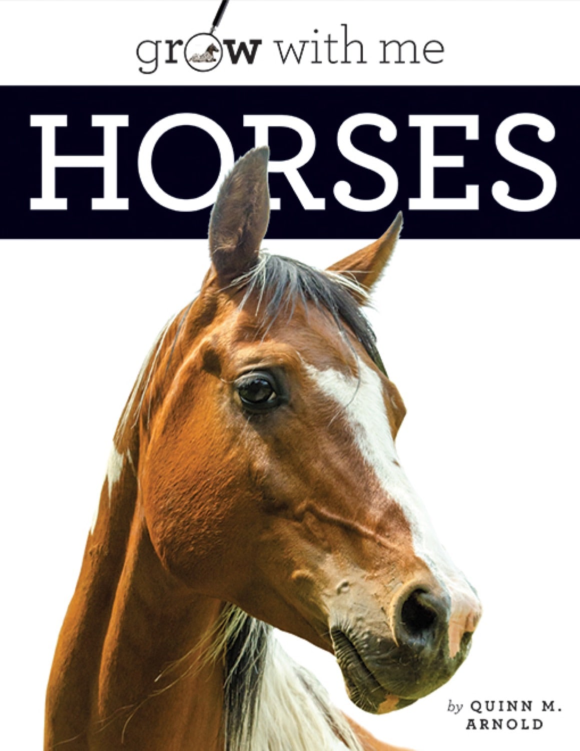9781640262324 Horse Care Guide - Essential Tips for Grooming, Feeding & Training | Perfect for Equestrian Enthusiasts & Stable Owners