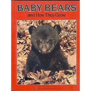 Baby Bears and How They Grow - Educational Books for Young Explorers | Perfect for Kids' Nature Learning & Bedtime Stories