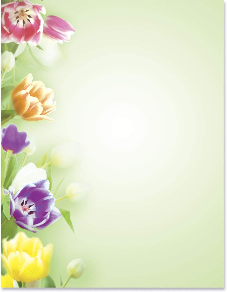 Premium Tulip-Themed Spring Stationery Set - 100 Sheets Elegant Border Paper & Letterhead (8.5 x 11) for Invitations, Wedding Stationery & Home Office Decor | Floral Printer Paper for DIY Crafts & Professional Correspondence