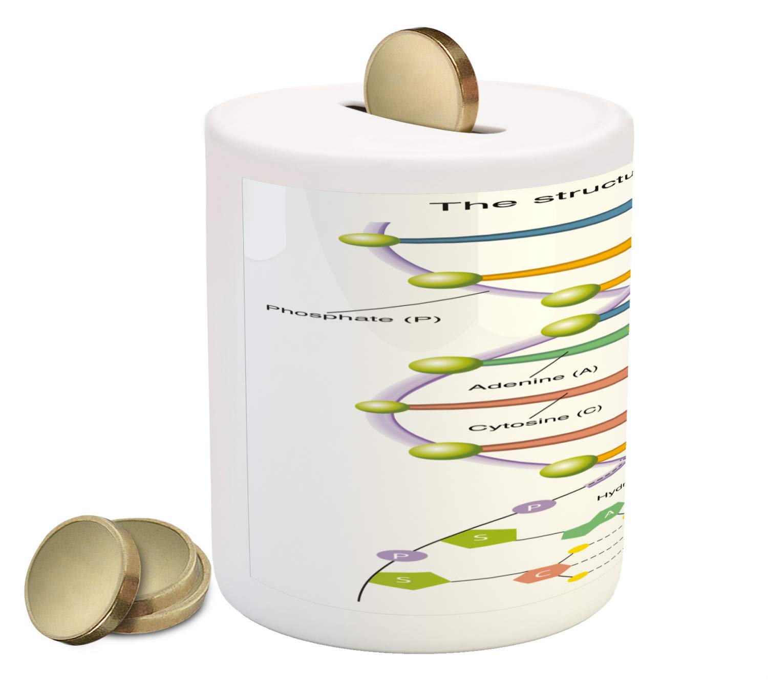 Ambesonne DNA Piggy Bank - Ceramic Money Box with Colorful Genetic Code Design for Science Lovers, 3.6