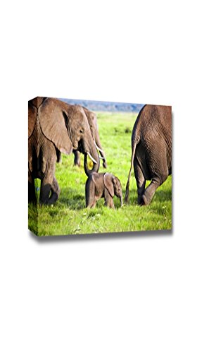 Savanna
