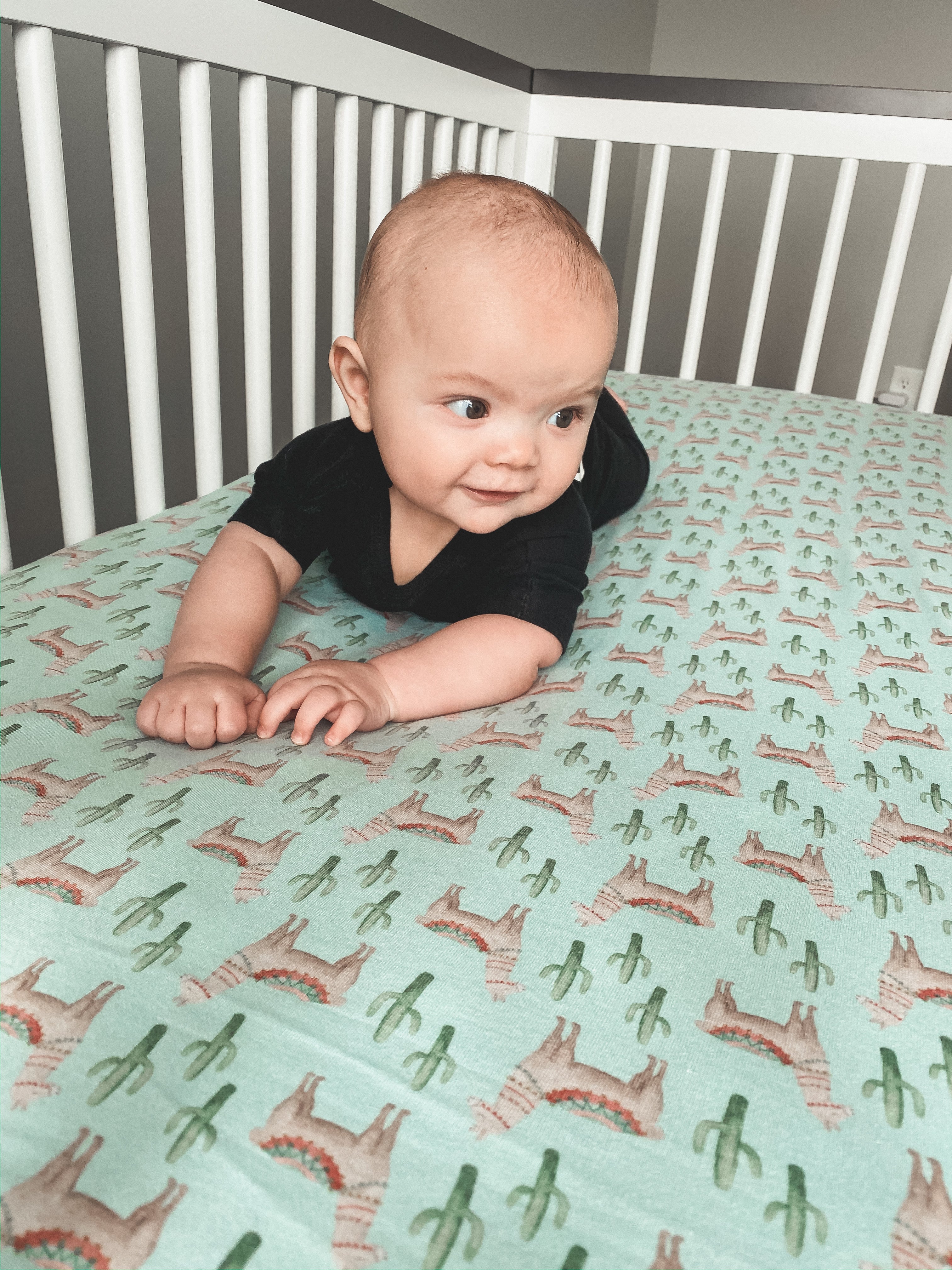 Premium Organic Cotton Knit Fitted Crib Sheet - Soft Baby Crib Mattress Cover for Nursery - Perfect for Newborns, Toddlers & Daycare Use