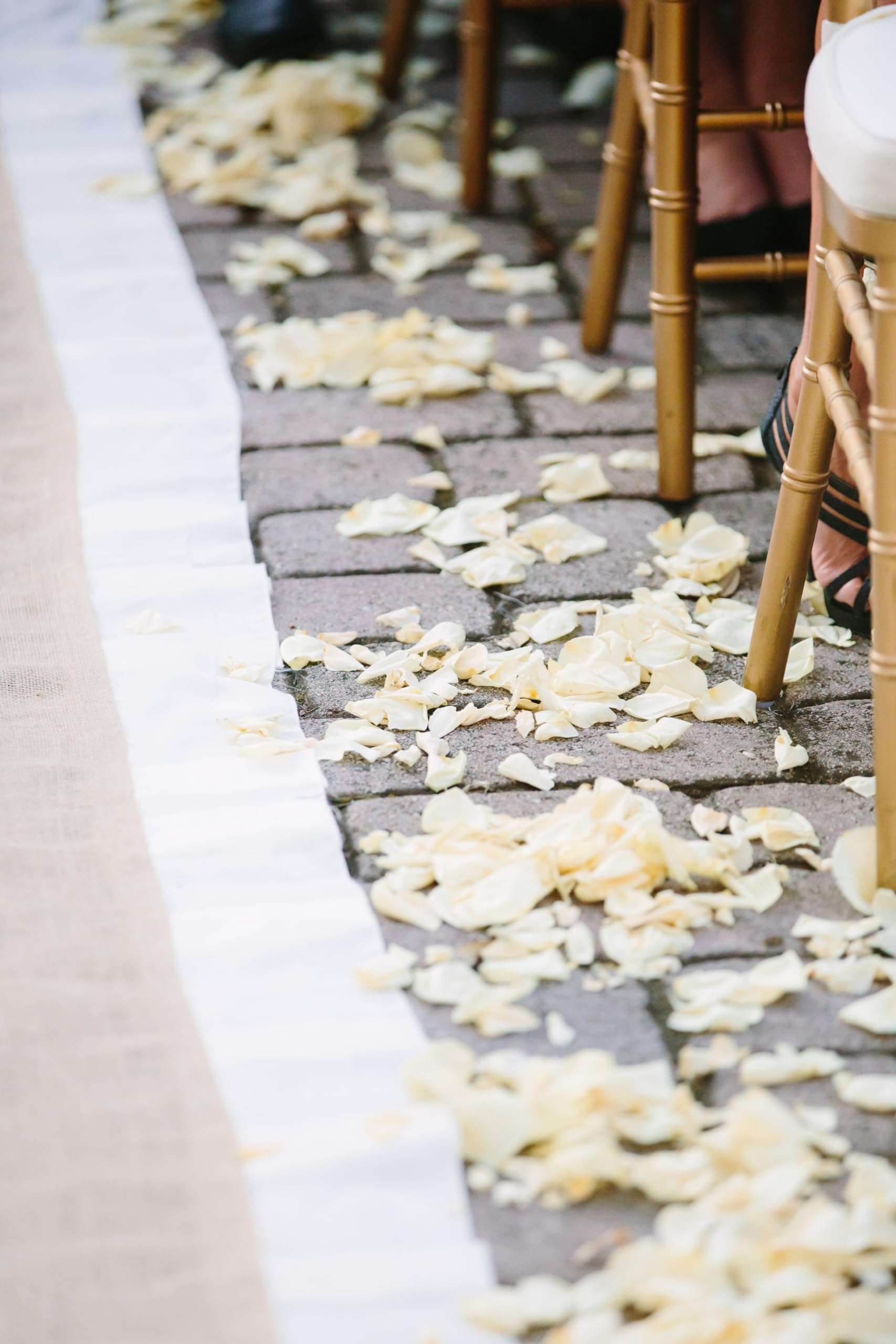 Freeze Dried Rose Petals - 60 Cups Ivory for Wedding Aisle Decor, Bridal Toss, Pathways & Romantic Events - Long Lasting & Fragrant - Perfect for Weddings, Anniversaries & Special Occasions