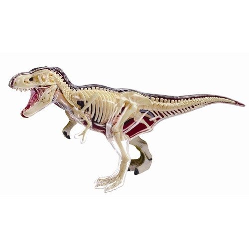 Tedco Toys 4D Vision T-Rex Dinosaur Anatomy Model - STEM Educational Science Kit for Kids & Adults - Perfect for Classroom Learning & Home Schooling