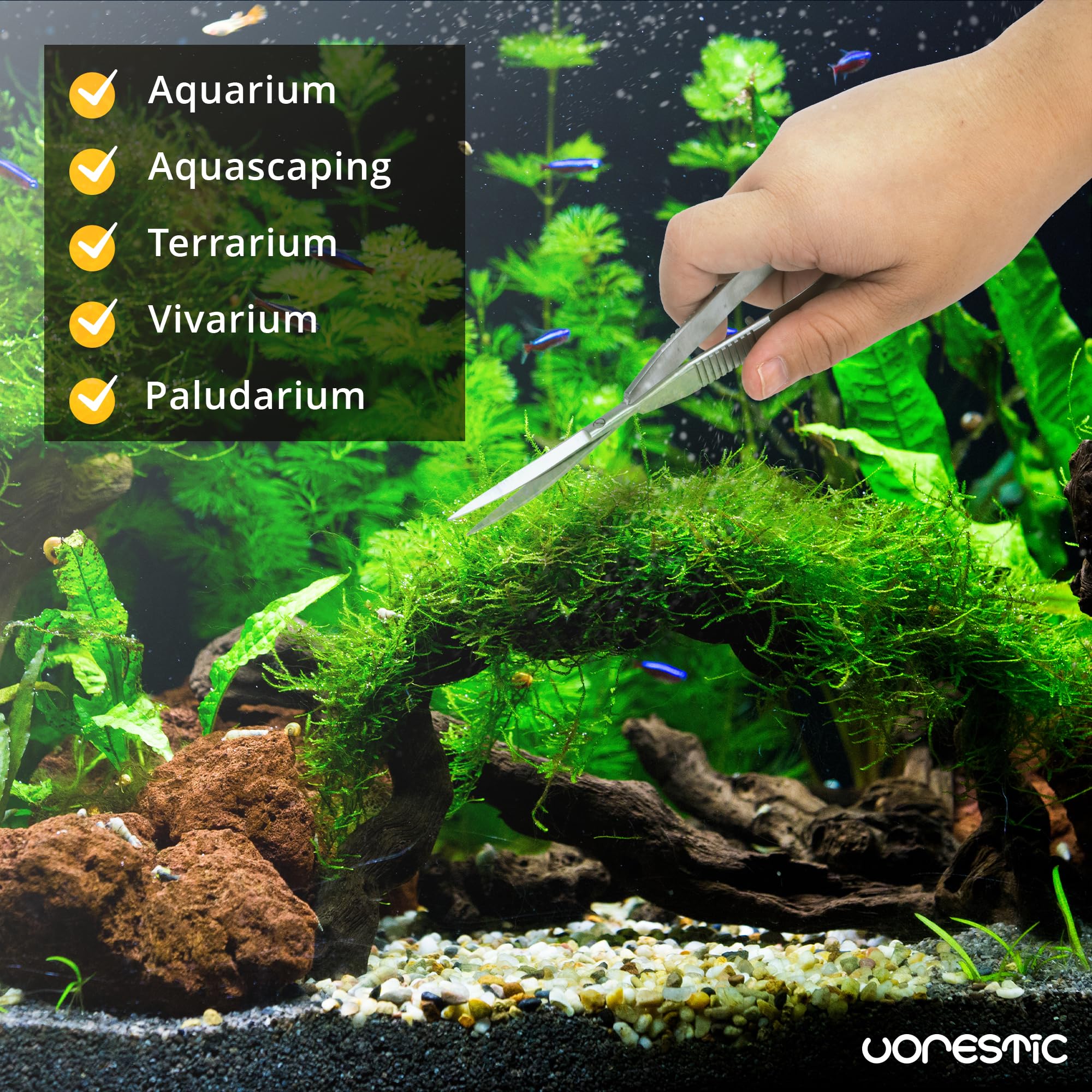 6.3 Inch Aquarium Spring Scissors - Stainless Steel Aquascaping Tools for Aquatic Plants, Terrarium & Fish Tank Maintenance | Perfect for Trimming, Pruning & Shaping Underwater Gardens