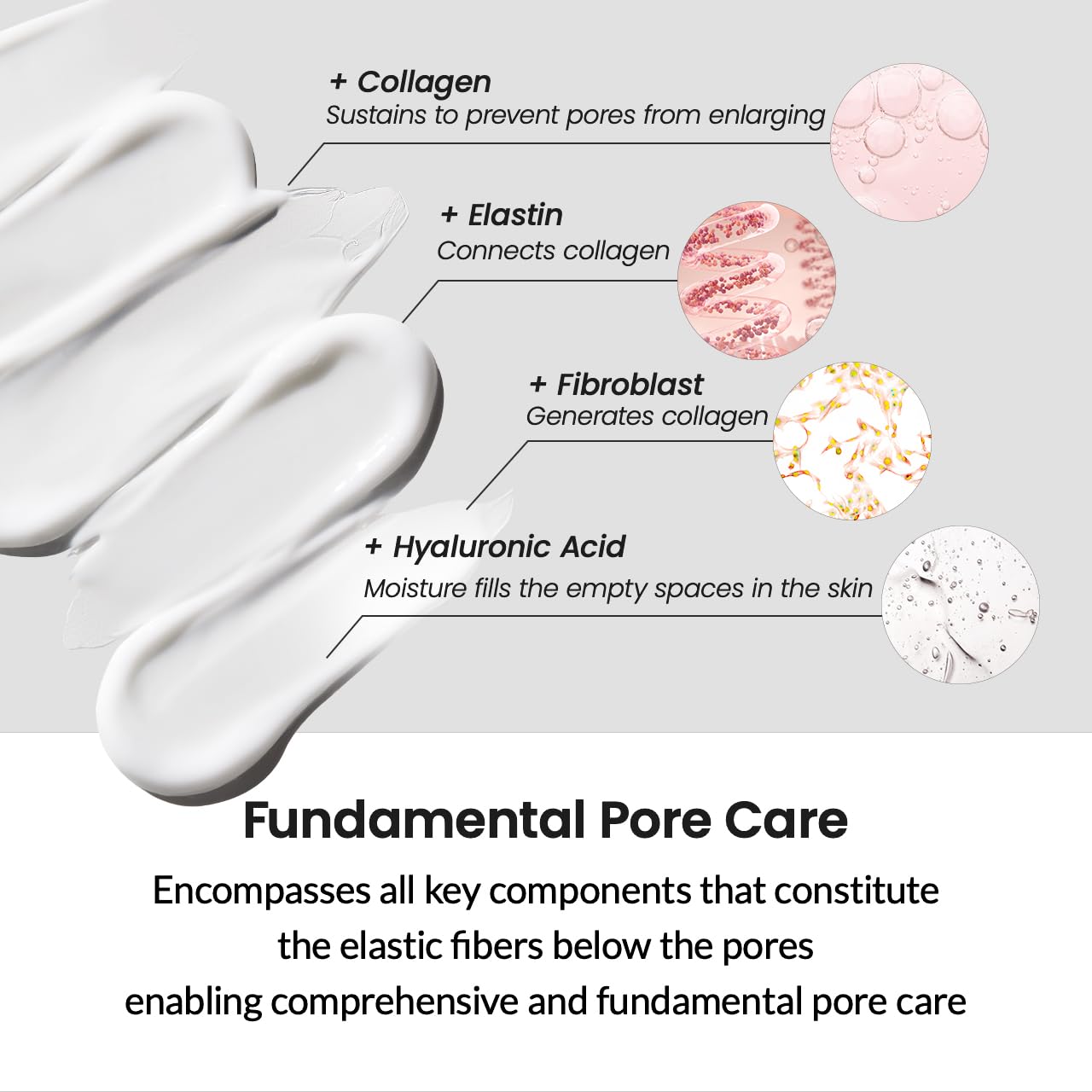 BIODANCE Collagen Cream - Anti-Aging Firming Facial Moisturizer with Hyaluronic Acid & Mineral Water for Wrinkles & Hydration | 1.69 fl.oz (50ml) | Day & Night Cream for Dry, Sensitive & Mature Skin
