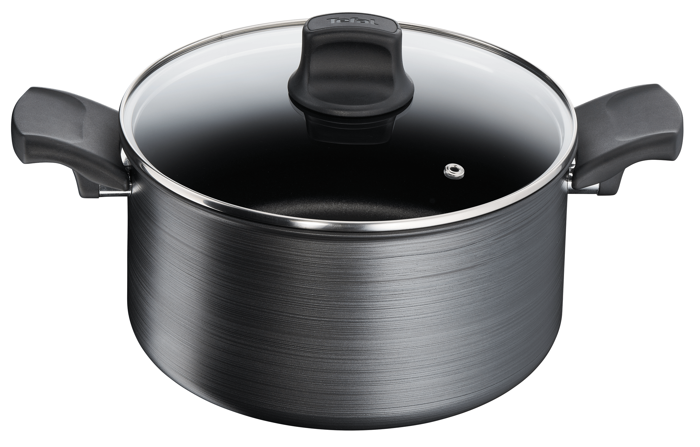 Tefal Titanium Fusion Induction Non Stick Stewpot 24cm/5L with Lid - Premium Cookware for Induction Cooktops, Perfect for Soups, Stews & Slow Cooking at Home
