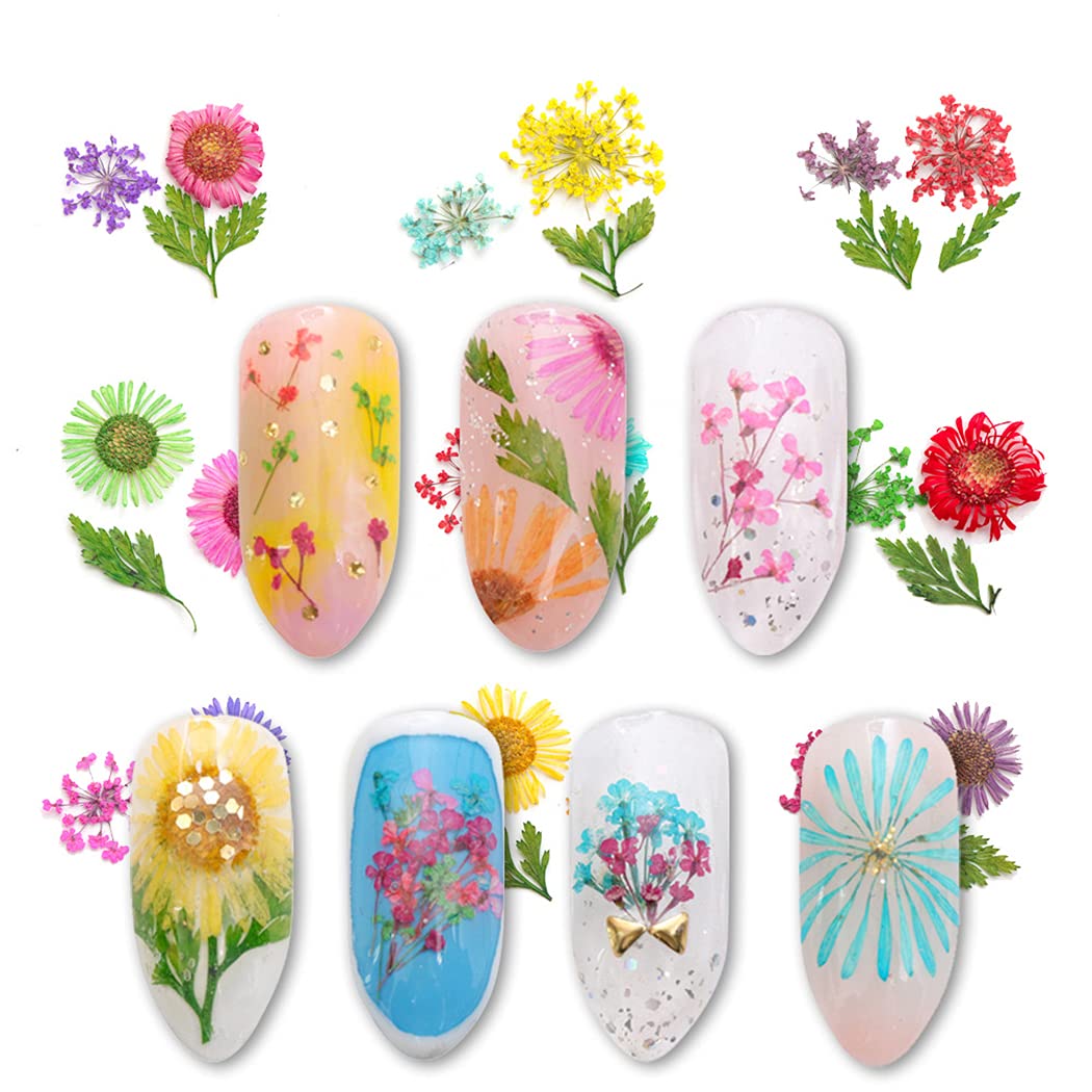 CACAZI Natural Dried Flowers for Nail Art - DIY Pressed Flower Nail Accessories Kit with Nail Art Stones - Perfect for Manicure, Pedicure & Creative Nail Designs at Home or Salon