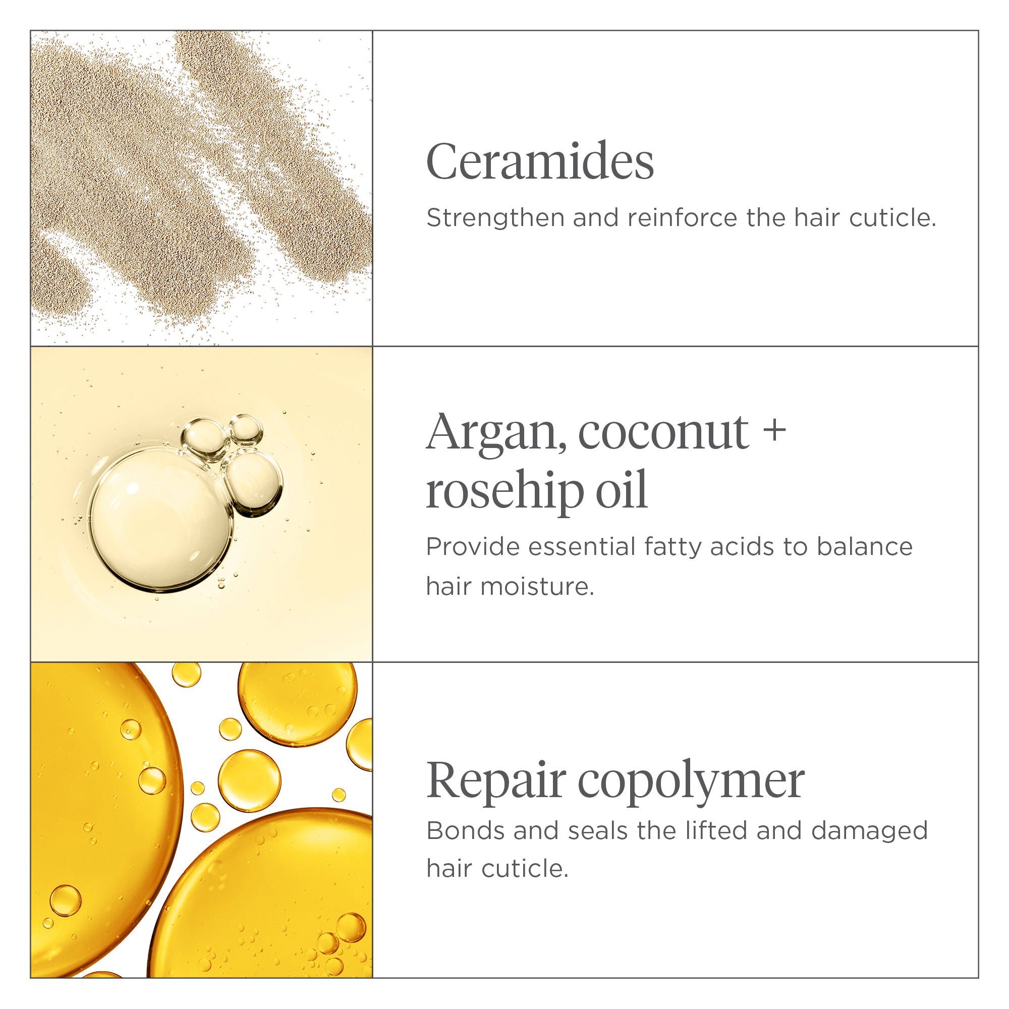 Repair & Protect Leave-In Hair Treatment for Moisture & Damage Defense – Ideal for Dry, Damaged Hair & Daily Hydration