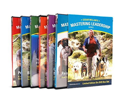 Mastering Leadership - Complete 6 DVD Set for Business Management Training | Professional Development & Team Building Skills