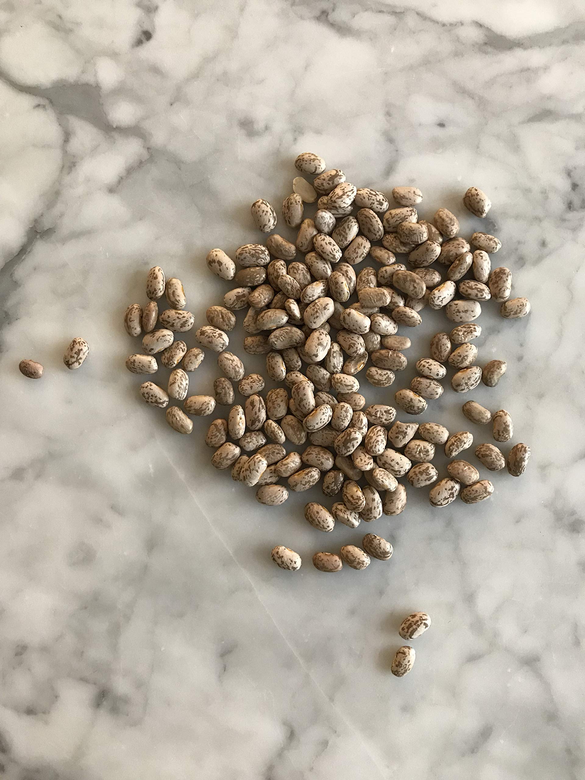 Premium Fillo's Dry Pinto Beans - 50 lb Bulk Bag | High-Quality, Non-GMO, Great for Soups, Stews & Mexican Dishes | Perfect for Restaurants, Catering & Home Cooking