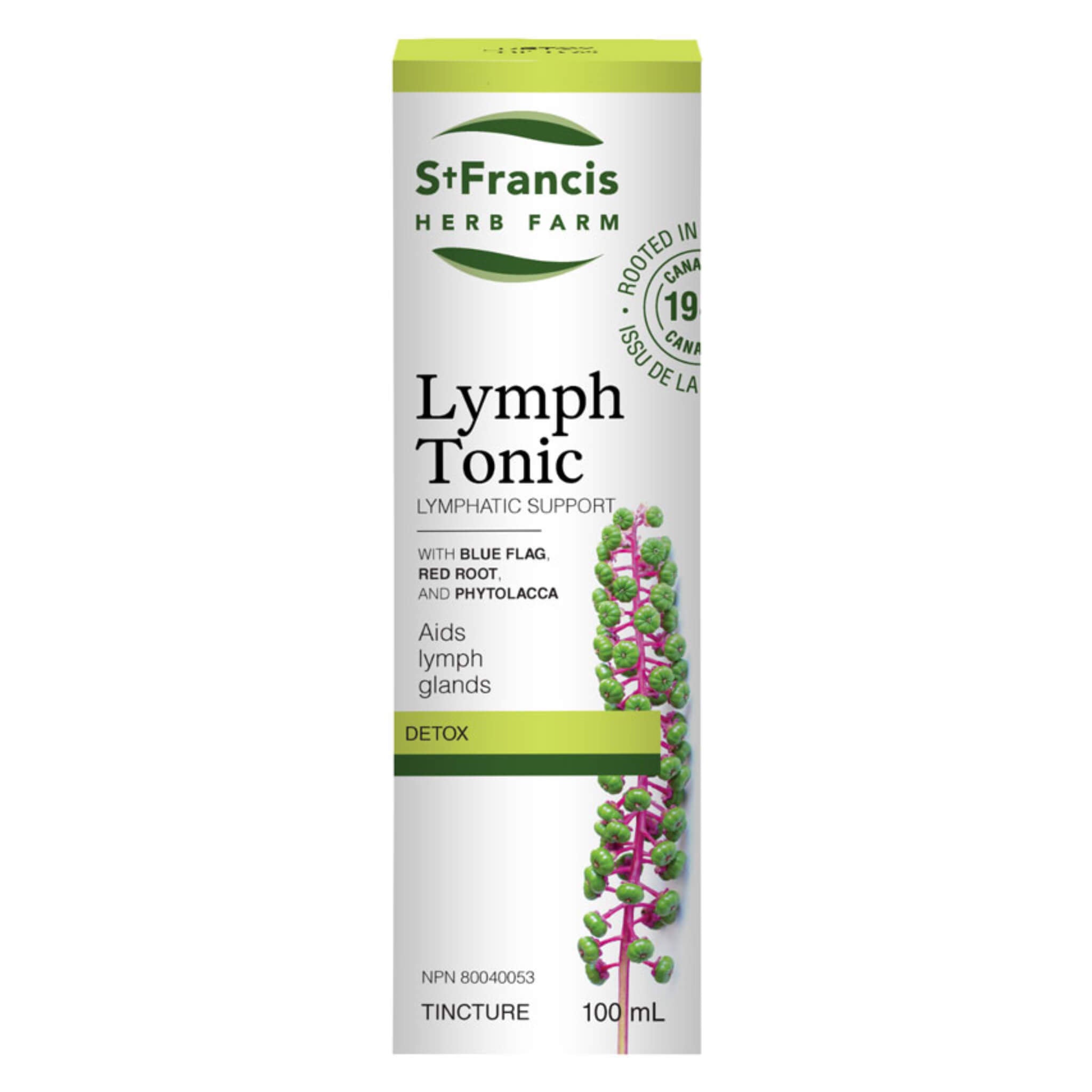 Lymph Tonic Supplement for Immune Support & Detox – Natural Herbal Remedy for Lymphatic Drainage & Wellness | Boost Energy & Vitality for Daily Health