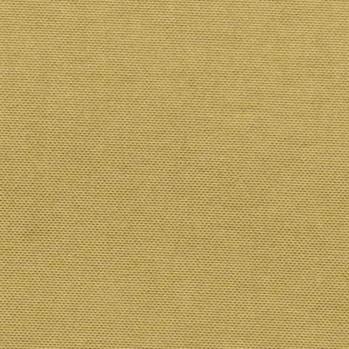 Coyote Brown