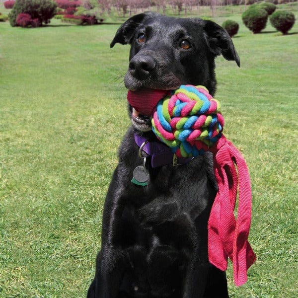 KONG Wubba Weaves Interactive Dog Toy - Durable Chew Toy for Medium & Large Dogs - Perfect for Fetch, Tug-of-War & Outdoor Play