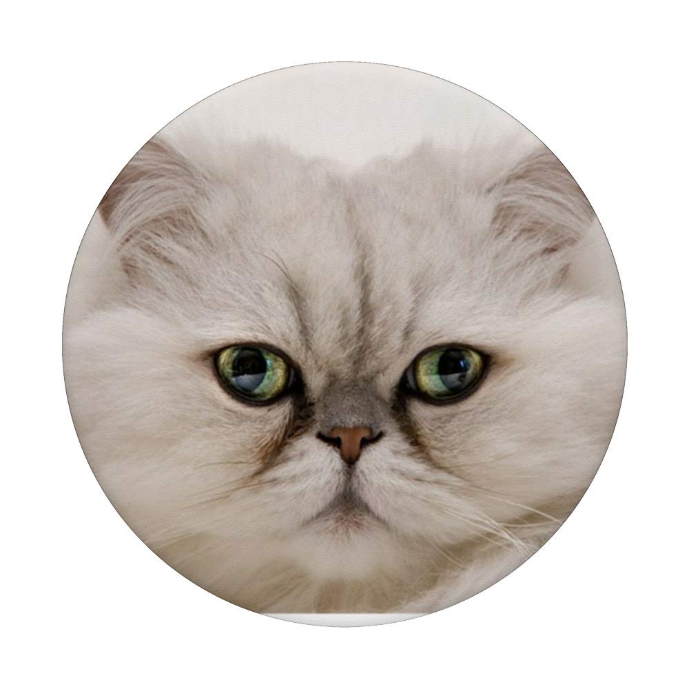 Persian Cat Pop Phone Grip - Swappable PopSocket for Phones & Tablets | Perfect for Selfies, Videos, and Secure Holding