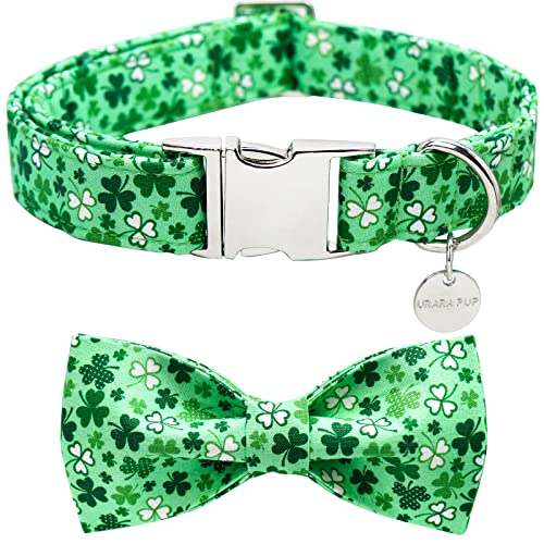 Lucky St. Patrick's Day B