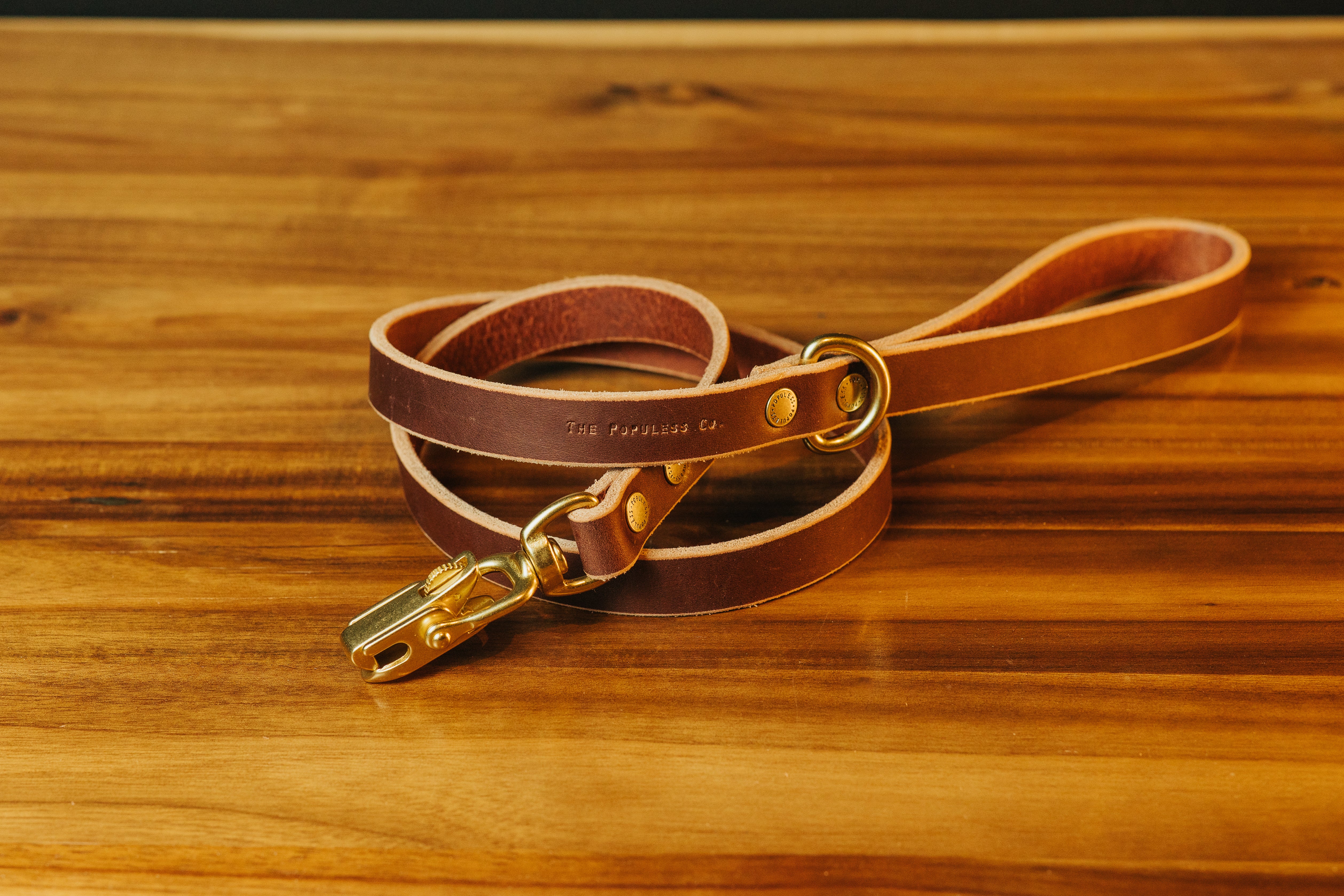 Premium Durable Brown Dog Leash for Medium & Large Dogs - The Jake - Strong Nylon Reflective Pet Walking Lead for Safety - Perfect for Daily Walks, Jogging & Outdoor Adventures