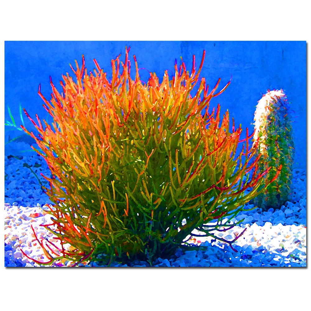 Amy Vangsgard Blue Firesticks Canvas Wall Art - Modern Abstract Painting for Living Room, Bedroom & Office Decor
