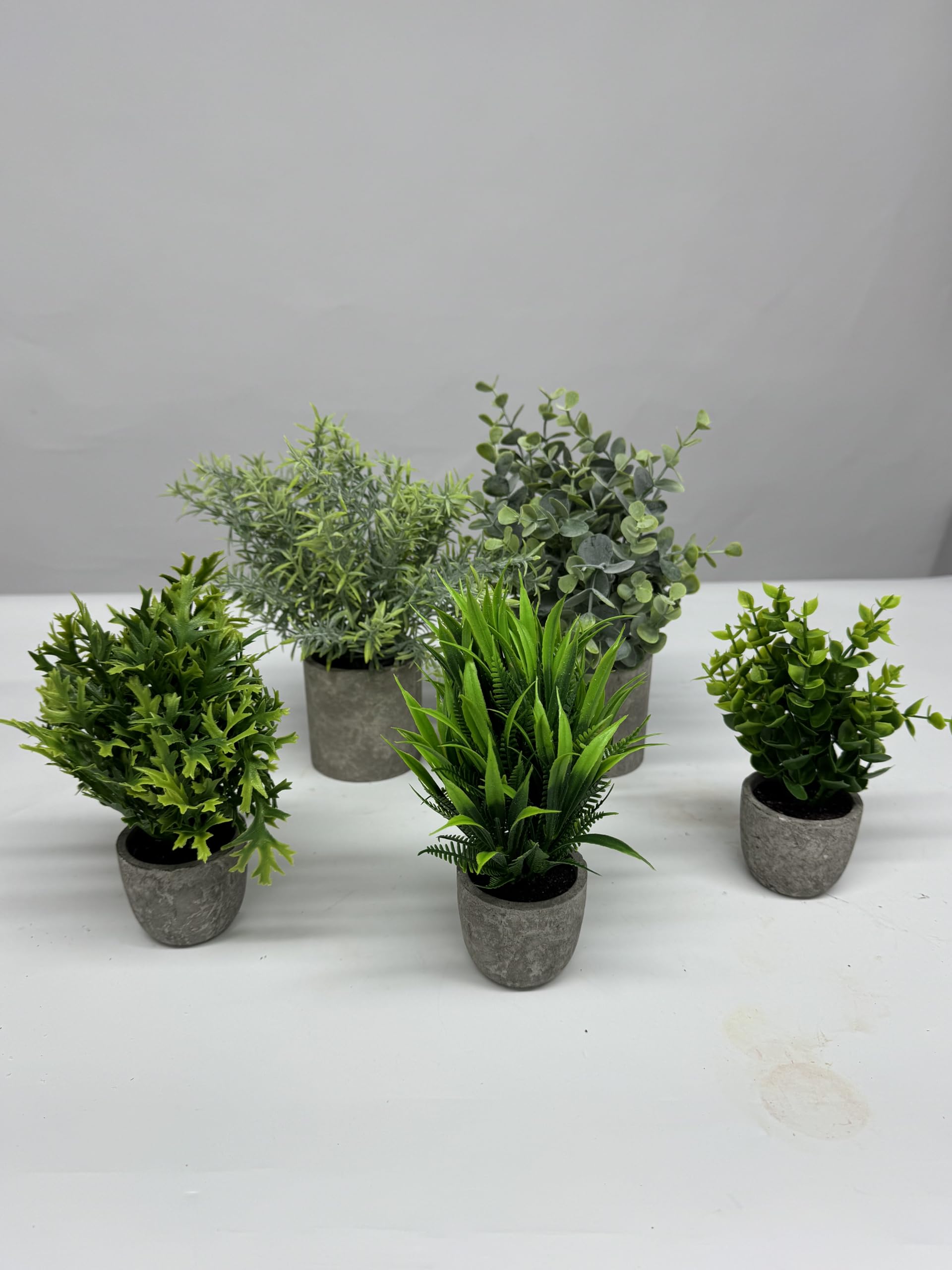 5 Pack Mini Artificial Potted Plants - Small Fake Eucalyptus Greenery & Plastic Faux Grass for Home Decor, Indoor Office, Table Centerpiece, Farmhouse Style | Perfect for Desk Decor, Wedding Centerpieces & Shelf Displays