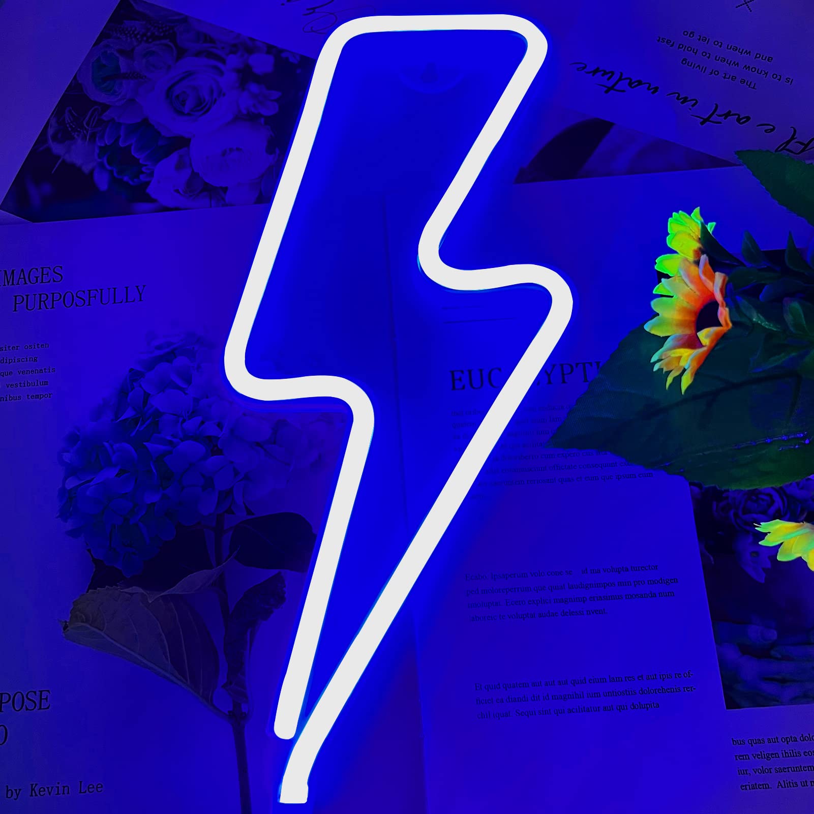 Lightning Bolt Neon Sign - USB/Battery Powered LED Wall Decor for Bedroom, Kids Room, Party & Wedding | Blue Neon Light for Home, Birthday & Kids Decorations | Perfect for Night Lights, Gaming Room & Bar Decor