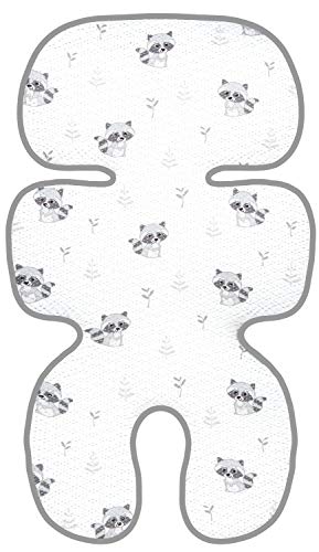 Raccoon Grey