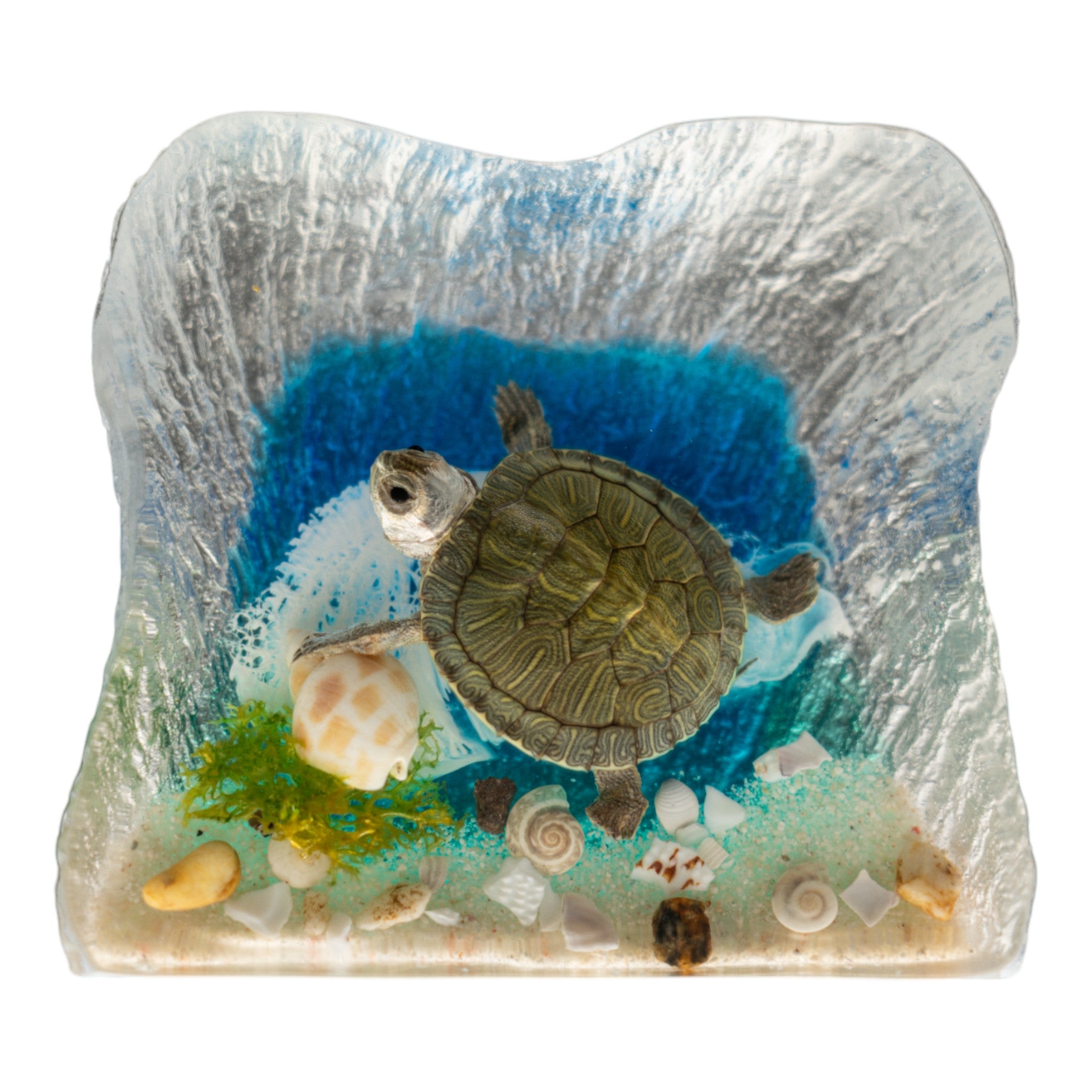 Realistic Turtle Acrylic Paperweight with Ocean Background - Perfect for Office Desk Decor, Gift for Marine Life Lovers
