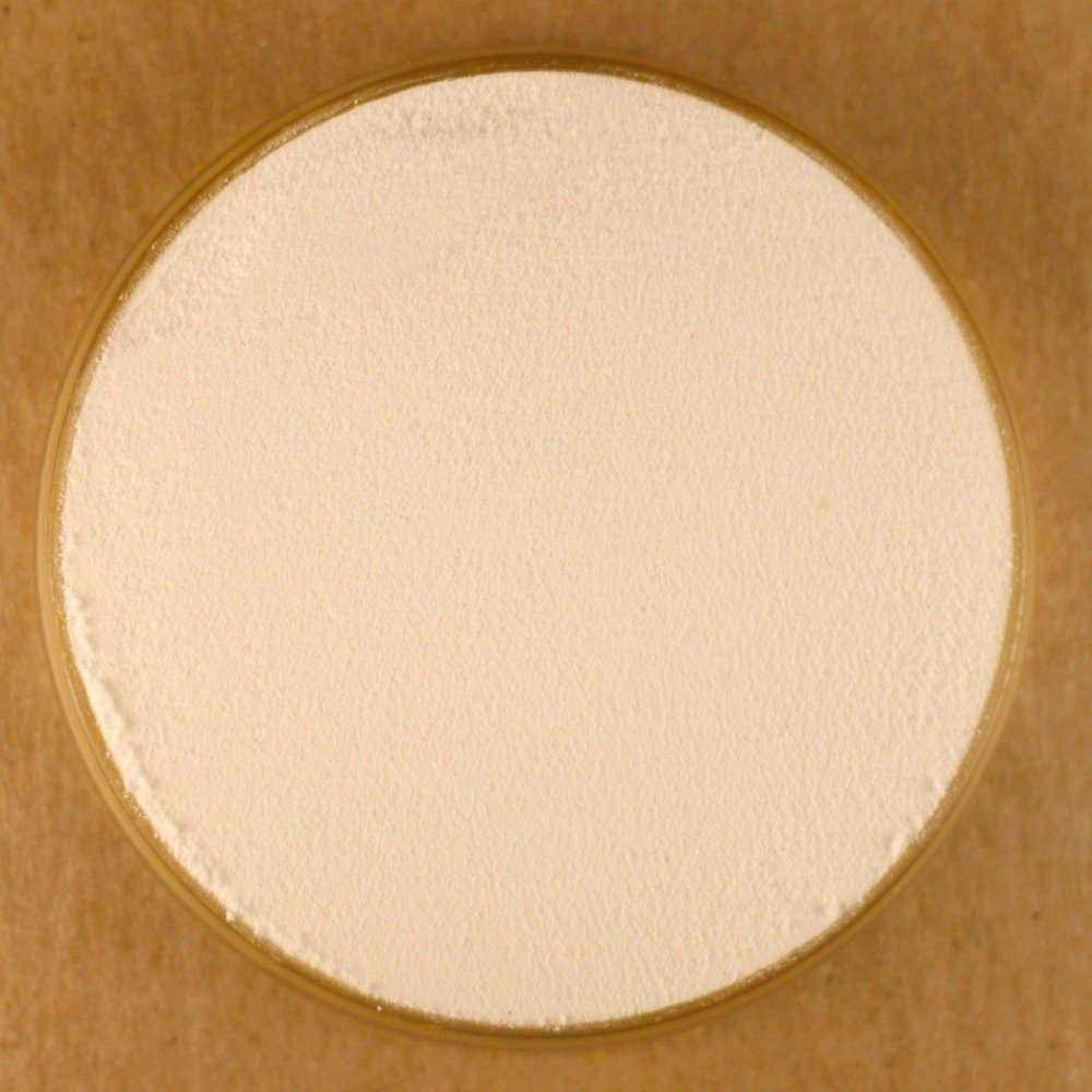 Organic Arrowroot Powder - 25 lbs Bulk | Gluten-Free, Non-GMO, Vegan | Perfect for Baking, Thickening Soups & Sauces, Baby Food