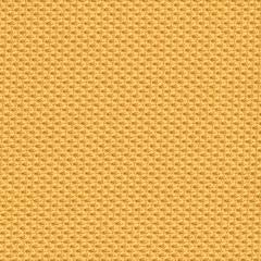 Tumeric Fabric