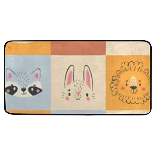 Cute Animal Portraits