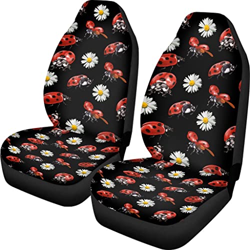 Ladybug Daisy
