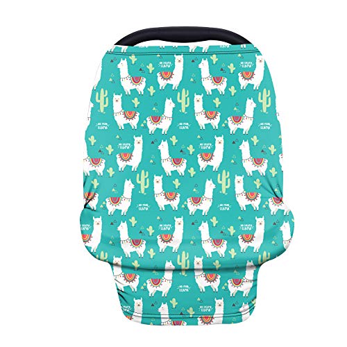 Cute Llama