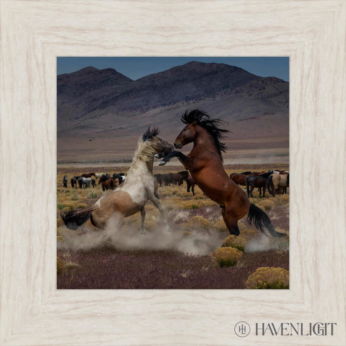 Desert Duel 5 by Greg Sargent - Western Action Novel - Perfect for Book Clubs & Cowboy Adventure Fans
