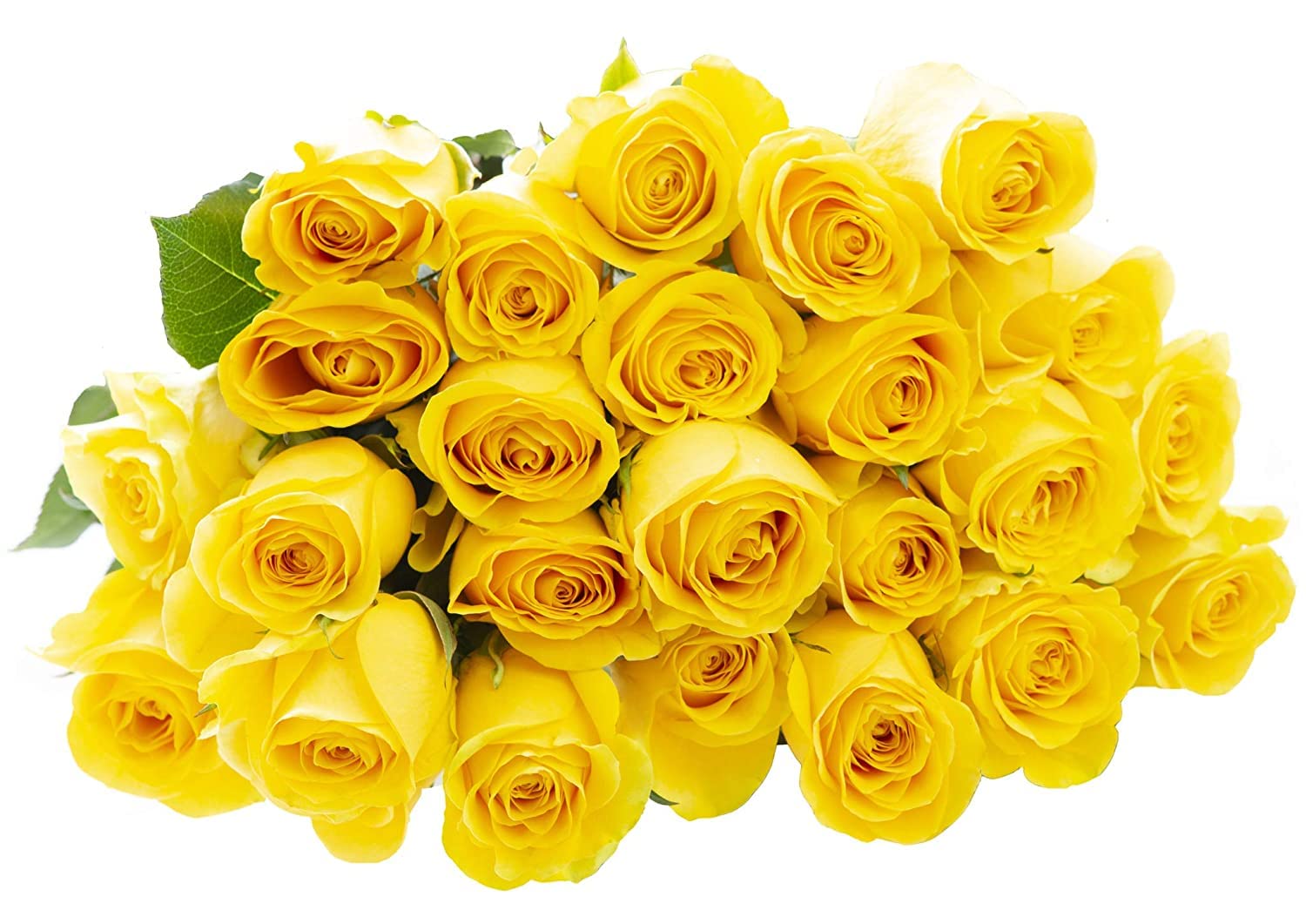 Fresh Yellow Roses Bouquet - 100 Long Stem Roses (50cm/24in) for Weddings, Birthdays, Anniversaries & Mother's Day | Wholesale Premium Flowers | Next Day Delivery | Perfect for Centerpieces, Bridal Bouquets & Romantic Gifts