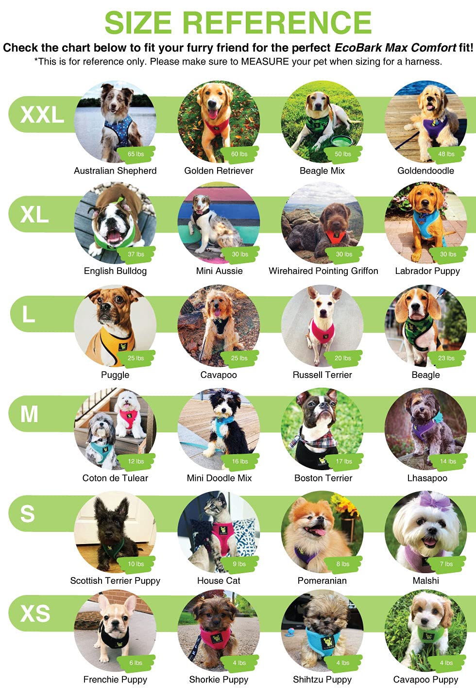 EcoBark Eco-Friendly No Pull Dog Harness - Soft Mesh Comfort Vest for Small, Toy & Teacup Dogs - Adjustable Overhead Design (XS, Teal Blue) - Perfect for Walking, Training & Outdoor Adventures