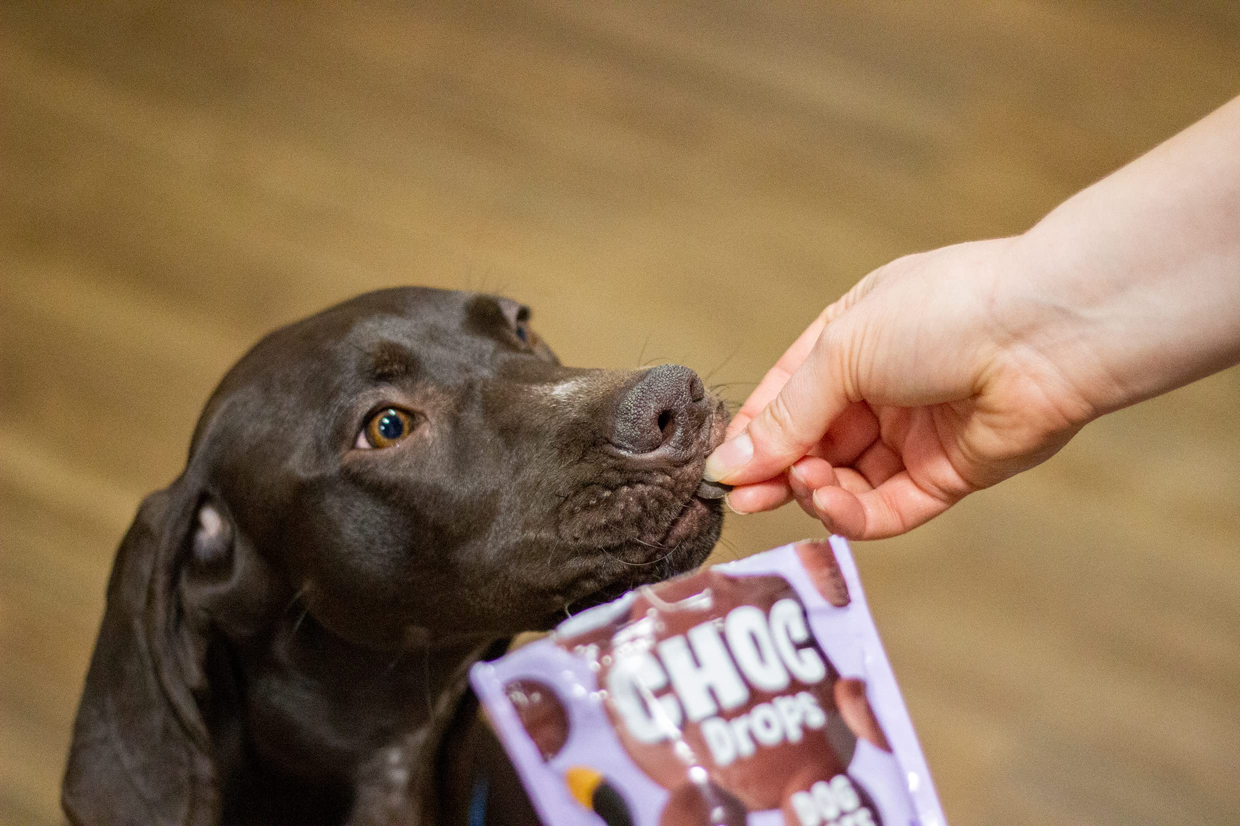 **Premium Rosewood Choc Drops for Dogs – Healthy & Safe Cocoa-Free Chocolate Treats with Added Vitamins – Ideal Training Rewards for Small, Medium & Large Dogs & Puppies (10 x 200g Pack) – Perfect for Obedience Training, Positive Reinforcement & Daily Snacking**