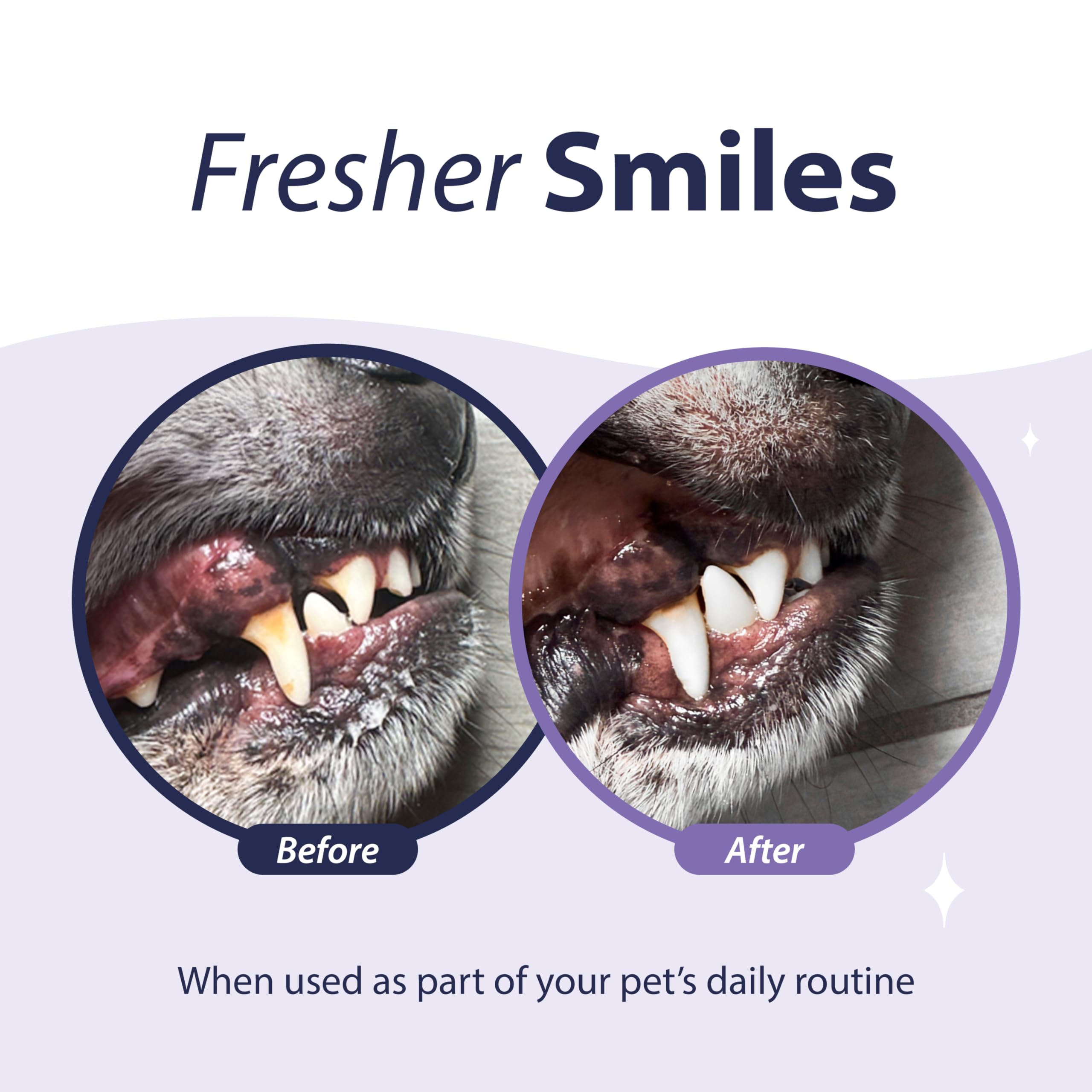 **Dental Fresh Enzymatic Gel Finger Toothbrush Kit for Dogs – Dog Toothpaste & Finger Toothbrush – Teeth Cleaning for Small & Large Breeds – Freshens Breath & Prevents Plaque – Perfect for Home & Vet Use**