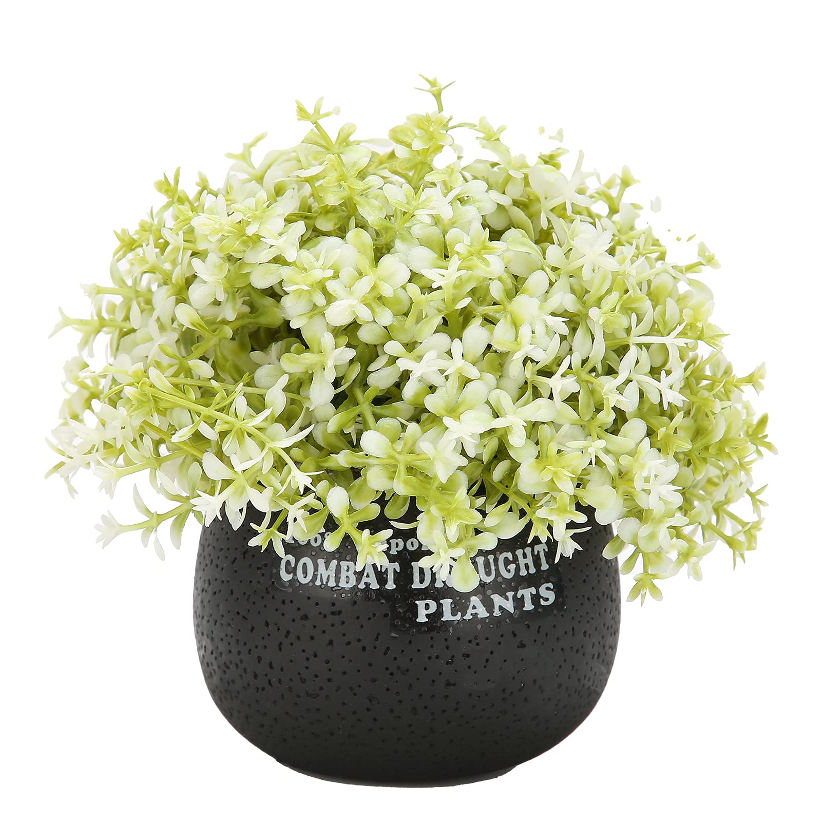 English Succulent Plant Pot with Drainage Hole - Ceramic Flowerpot for Tabletop, Indoor Gardening, Home Decor - Perfect for Cacti, Aloe Vera & Small Plants in Living Room, Office Desk or Windowsill