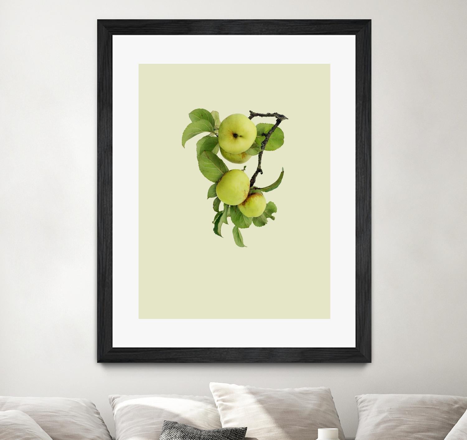 Fresh Organic Apple Tree for Home Garden - Grow Delicious Apples in Your Backyard | Perfect for Landscaping, Fruit Harvesting & DIY Gardening Projects