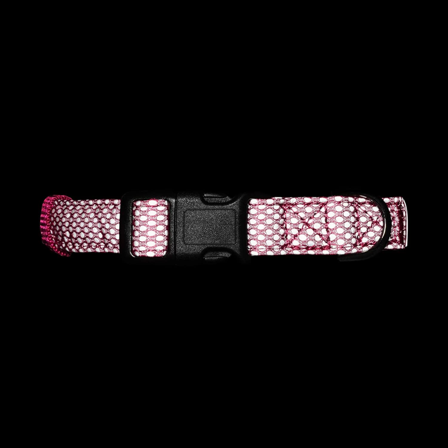 **Embark Illuminate Reflective Dog Collar for Small Dogs – Adjustable Padded Nylon Collar with Buckle, High-Visibility Night Safety – Perfect for Evening Walks, Jogging & Outdoor Adventures (Pink)**