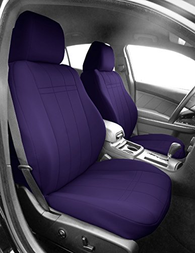 Purple Insert and Trim
