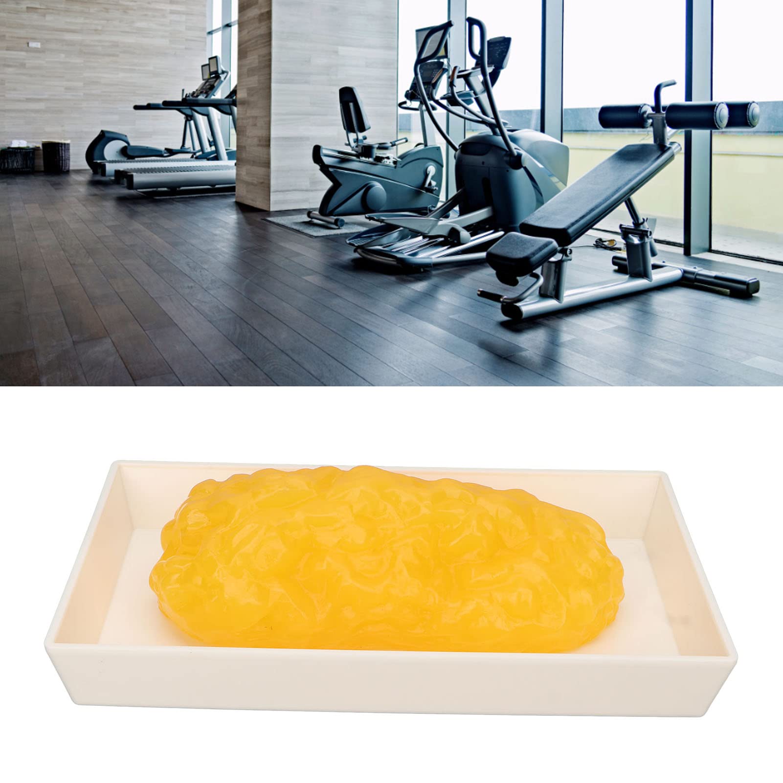 1lb Human Body Fat Model - Realistic Adipose Tissue Replica for Nutrition Education & Science Classrooms | Perfect for Dietitians, Health Demonstrations & Medical Training