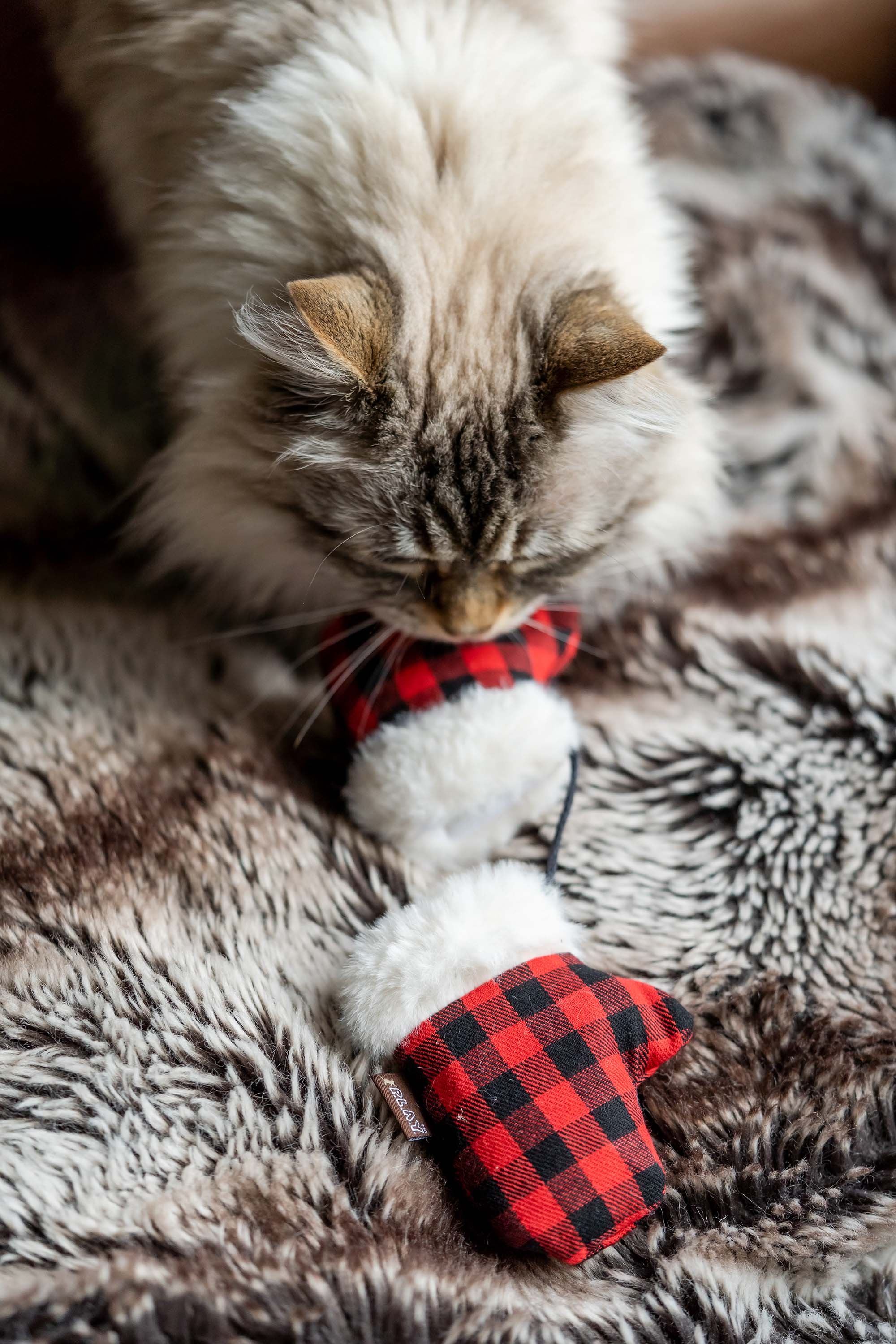 P.L.A.Y. Feline Frenzy Catnip Toy Set - Kitty Mitten Cat Toys for Indoor Play | Organic Catnip Filled Kitten Toys for Playtime & Exercise