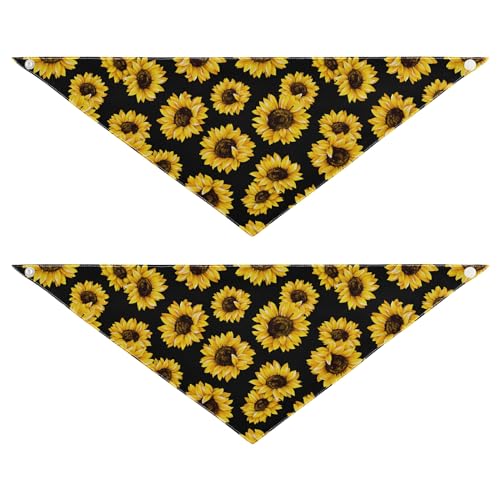 Sunflowers On The Black Background