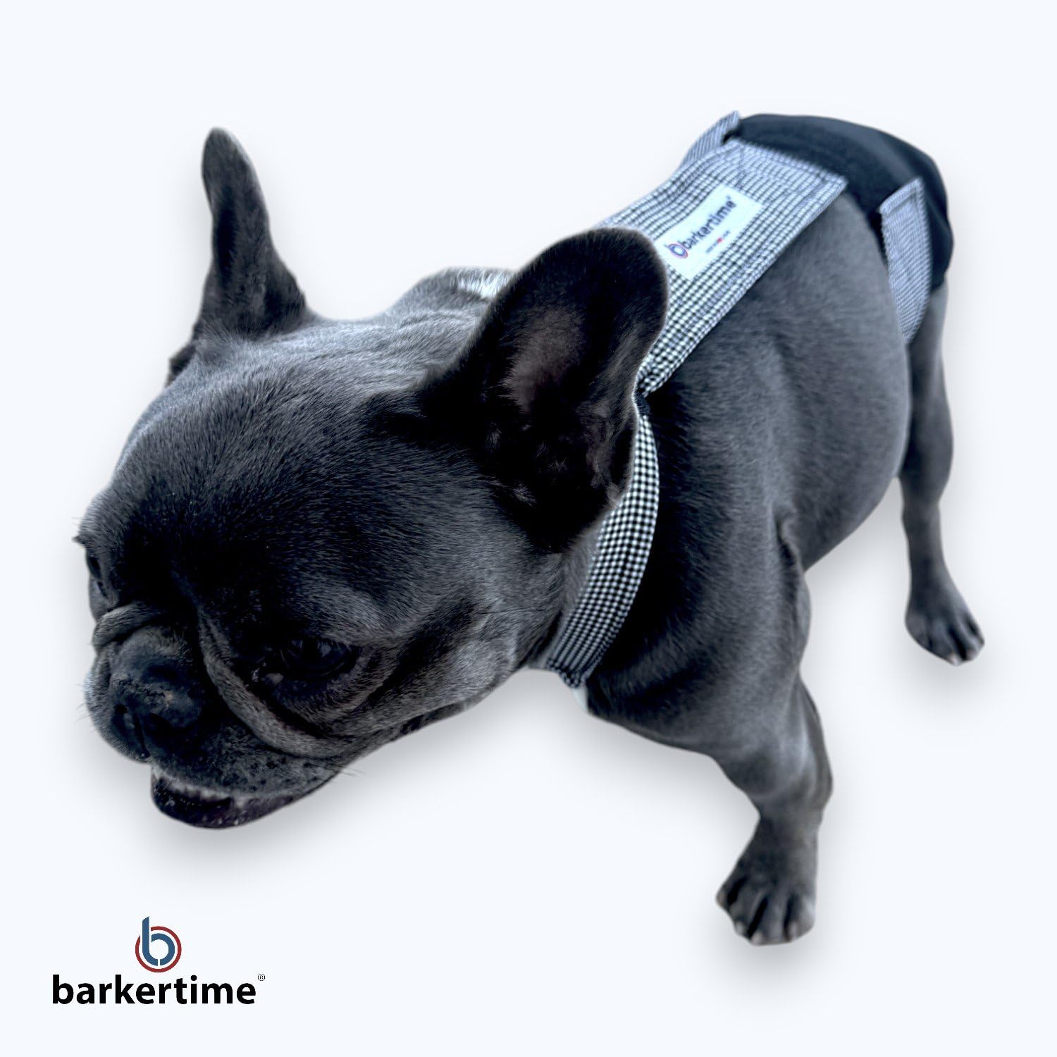 Black & White Gingham Dog Diaper Overall with Tail Hole - Medium Size, Made in USA - Perfect for House Training, Travel & Special Occasions