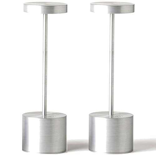 2Pack Silver