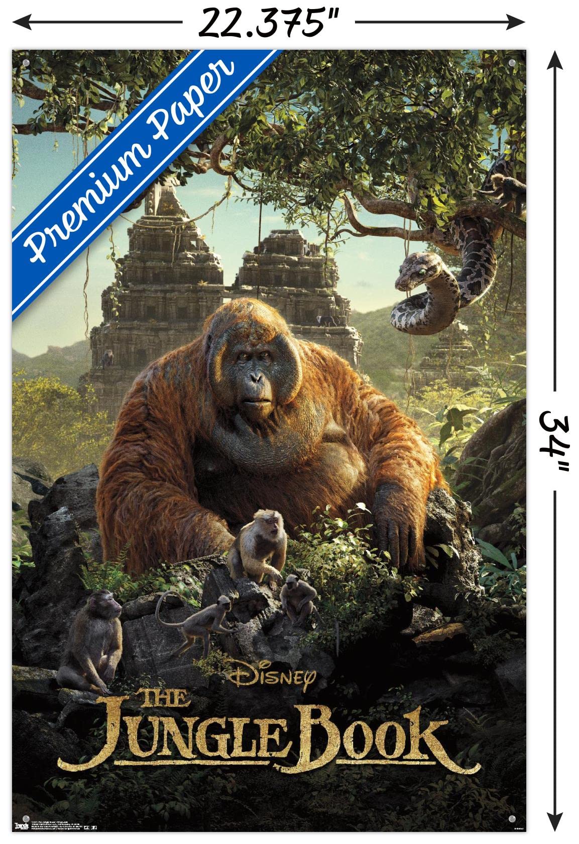 Disney The Jungle Book King Louie Wall Poster with Push Pins - Jungle Themed Room Decor for Kids Bedroom, Playroom & Classroom