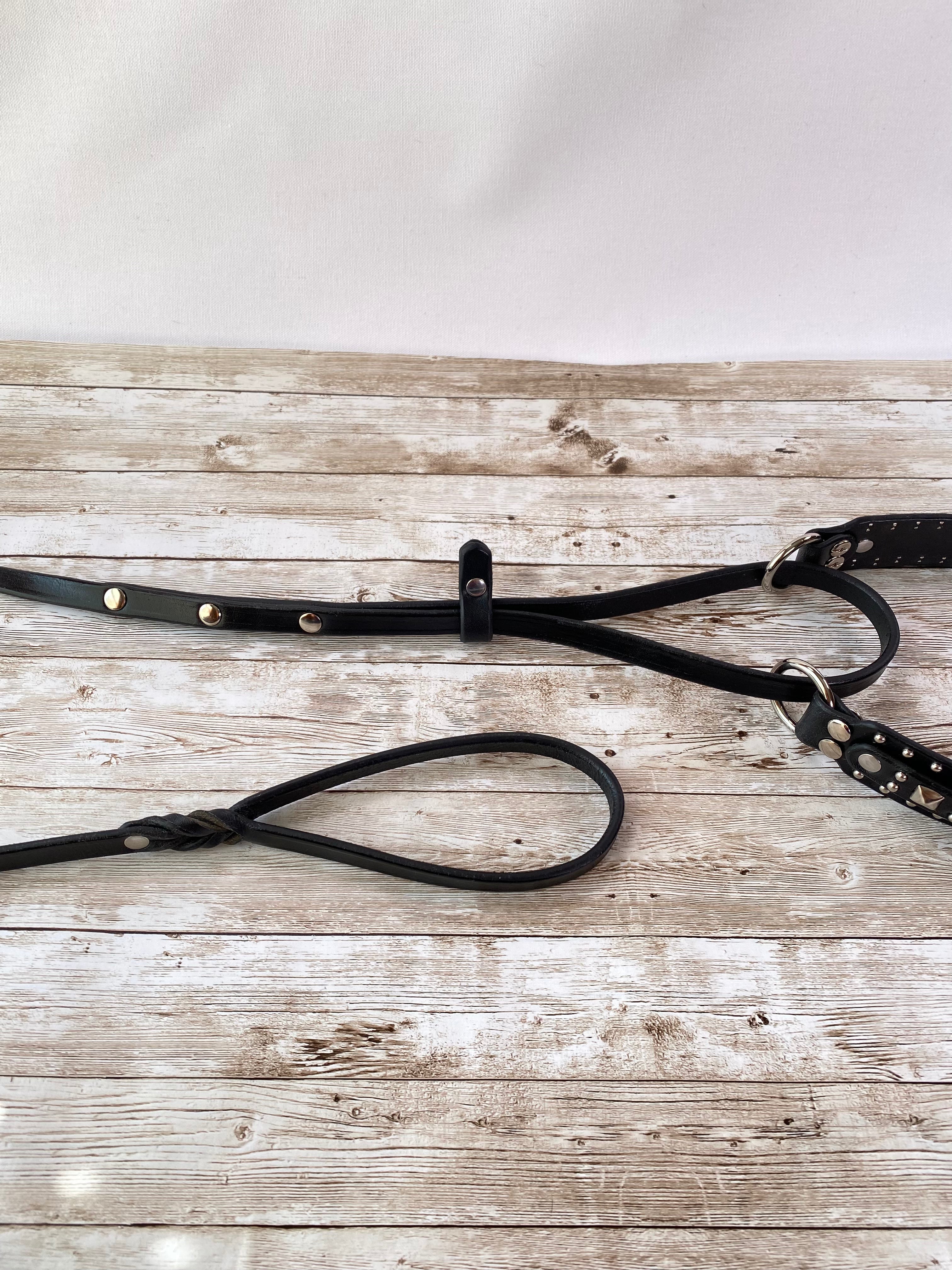 Philly French Martingale Horse Training Equipment – Adjustable Leather Headpiece for Dressage & Jumping | Perfect for Equestrian Training & Show Riding