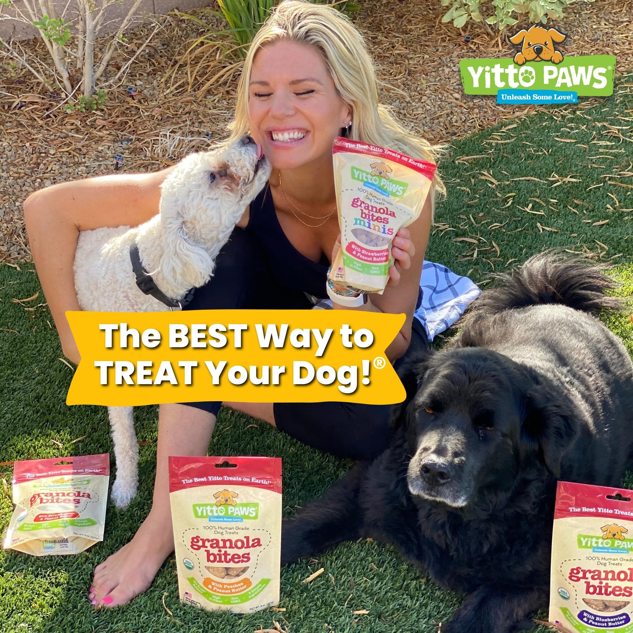 Crunchy Organic Blueberry Dog Treats with Oats & Peanut Butter - Healthy, Vegan, All-Natural Training Treats Made in USA | Low Calorie, Human-Grade, No Sugar Added Dog Biscuits for Training, Rewards & Snacking