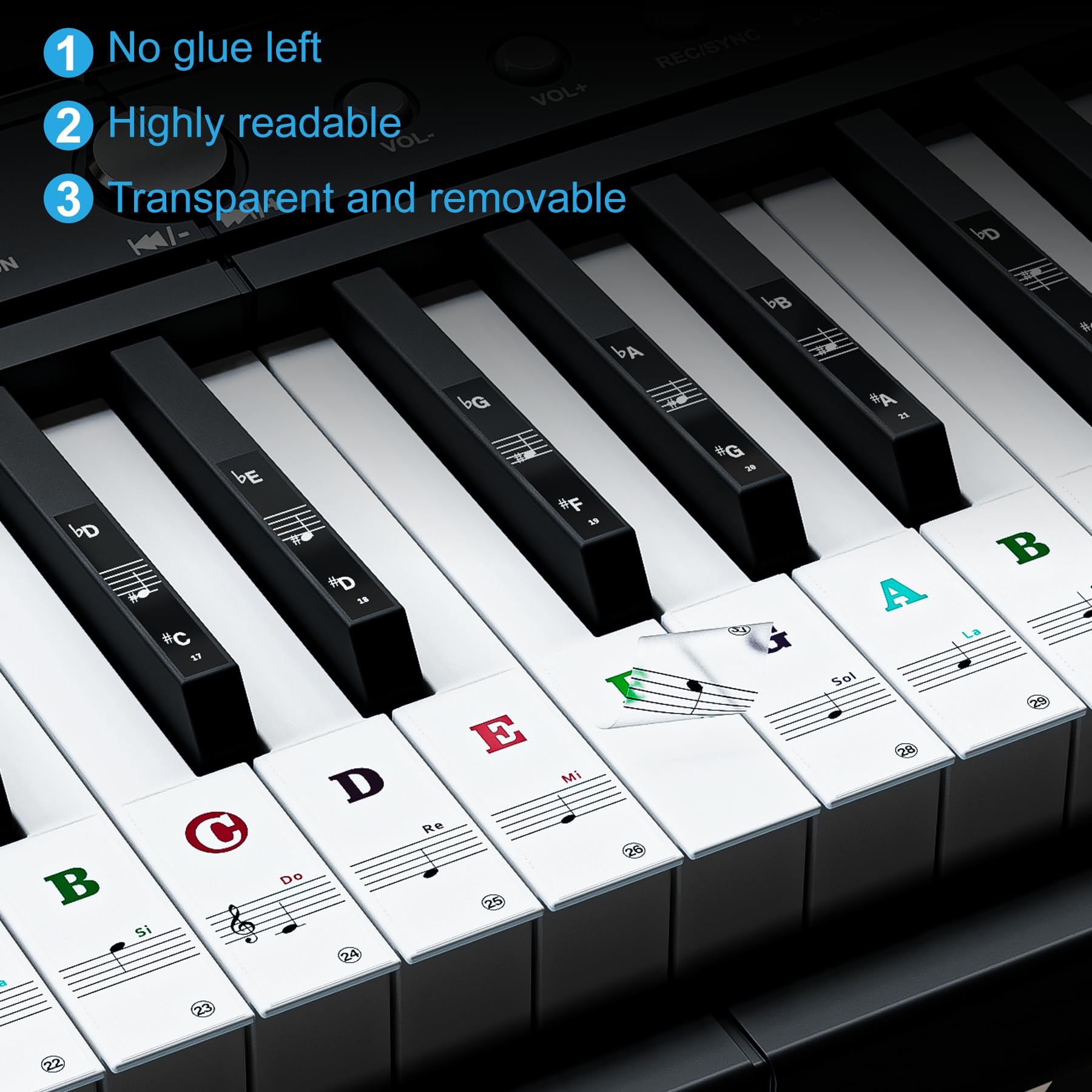 **88/61/54/49/37 Key Piano Keyboard Stickers - Bold Large Letter Removable Note Labels for Beginners & Kids (Multicolor) - Perfect for Learning Piano at Home or School**